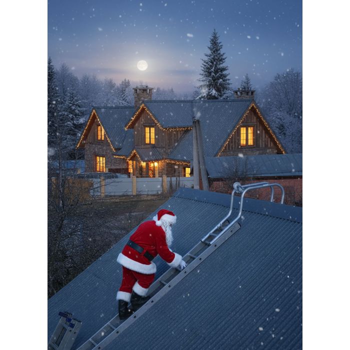 Коньковый крюк SevenBERG, передвижной, с роликом, для крышных лестниц, Россия